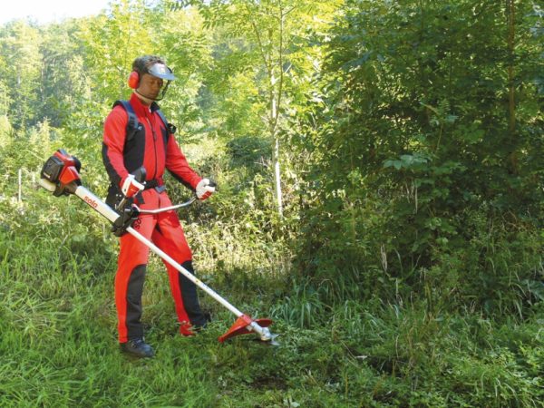 Бензокоса: рейтинг лучших моделей от популярных производителей