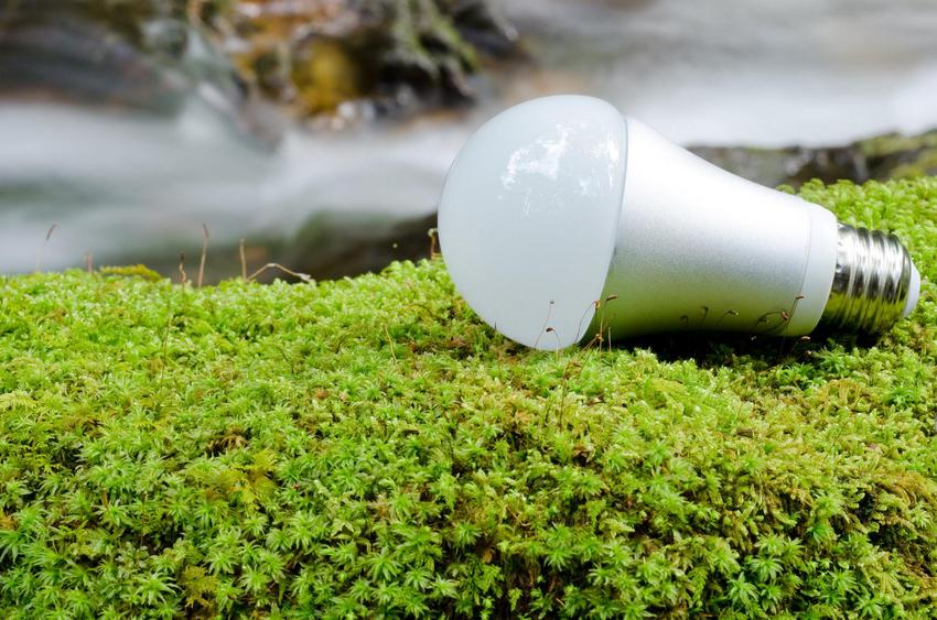 Высокая экологичность - одно из главных достоинств led-ламп