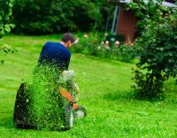 Бензиновая газонокосилка поможет превратить запущенный участок в ухоженный газон Бензиновая газонокосилка поможет превратить запущенный участок в ухоженный газон