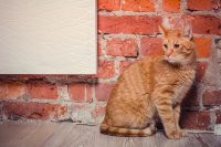 Обогреватели ТеплЭко имеют композитное покрытие, состоящее из кварцевого песка Обогреватели ТеплЭко имеют композитное покрытие, состоящее из кварцевого песка