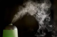 Низкая влажность негативно влияет на комнатные растения и деревянные предметы интерьера Низкая влажность негативно влияет на комнатные растения и деревянные предметы интерьера