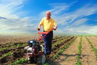 Технические характеристики мотоблока выше чем у культиватора в несколько раз Технические характеристики мотоблока выше чем у культиватора в несколько раз
