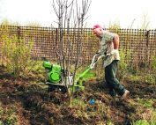 При выборе мотоблока необходимо ориентироваться на его мощность, вес, рабочую глубину и производителя При выборе мотоблока необходимо ориентироваться на его мощность, вес, рабочую глубину и производителя