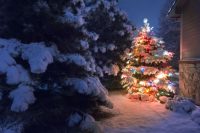 Для использования в уличных условиях разработаны специальные модели светодиодных гирлянд Для использования в уличных условиях разработаны специальные модели светодиодных гирлянд