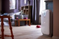 Климатические комплексы имеют многоступенчатую систему очистки и увлажнения воздуха Климатические комплексы имеют многоступенчатую систему очистки и увлажнения воздуха