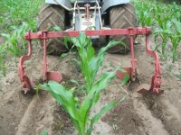 Самодельный культиватор для дачи Самодельный культиватор для дачи