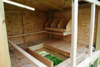 Процесс строительства птичника своими руками, обустройства гнезд и насеста Процесс строительства птичника своими руками, обустройства гнезд и насеста