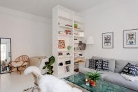 Шкаф-перегородка с полками для хранения сувениров и книг Шкаф-перегородка с полками для хранения сувениров и книг