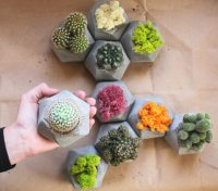 Маленькие шестигранные кашпо из цемента Маленькие шестигранные кашпо из цемента