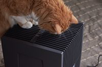 При выборе увлажнителя воздуха необходимо учитывать размер помещения, в котором он будет использоваться При выборе увлажнителя воздуха необходимо учитывать размер помещения, в котором он будет использоваться