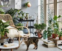 Для растений важно большое количество дневного света, поэтому установив панорамные окна, можно легко организовать зимний сад Для растений важно большое количество дневного света, поэтому установив панорамные окна, можно легко организовать зимний сад