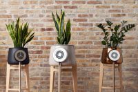 Природный очиститель воздуха с электронным управлением и вентилятором Природный очиститель воздуха с электронным управлением и вентилятором