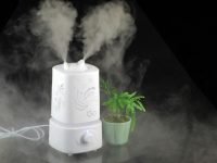 В большинстве моделей увлажнителей вода доводится до кипения с помощью нагревательной пластины и горячий пар распределяется в воздухе комнаты В большинстве моделей увлажнителей вода доводится до кипения с помощью нагревательной пластины и горячий пар распределяется в воздухе комнаты