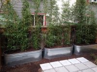 Для установки грядок из металла стоит выбрать не слишком освещенное место, для избежания гибели растений от перегрева Для установки грядок из металла стоит выбрать не слишком освещенное место, для избежания гибели растений от перегрева