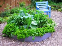 С помощью пластика можно создавать самые разнообразные формы грядок С помощью пластика можно создавать самые разнообразные формы грядок