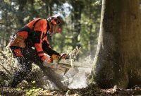 Многие пользователи отмечают высокое качество и удобство при работе с мощной моделью бензопилы STIHL MS 660 Многие пользователи отмечают высокое качество и удобство при работе с мощной моделью бензопилы STIHL MS 660