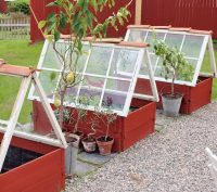 Используя обычный ящик и старое окно можно легко соорудить небольшой парник Используя обычный ящик и старое окно можно легко соорудить небольшой парник