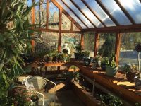 В теплую погоду рекомендуется оставлять парник открытым, чтобы обеспечить растениям максимально благоприятные условия В теплую погоду рекомендуется оставлять парник открытым, чтобы обеспечить растениям максимально благоприятные условия