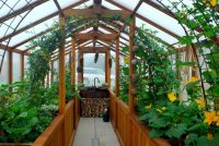 Качественный поликарбонат полностью поглощает негативное для роста культур ультрафиолетовое излучение Качественный поликарбонат полностью поглощает негативное для роста культур ультрафиолетовое излучение