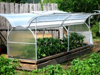 Высокую теплую грядку легко можно переоборудовать в теплицу Высокую теплую грядку легко можно переоборудовать в теплицу