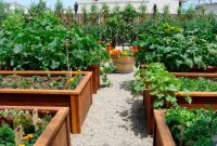 Высокие грядки с бортиками значительно упрощают уход за огородом Высокие грядки с бортиками значительно упрощают уход за огородом