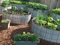 В качестве ограждения для высоких грядок можно использовать металлопрофиль В качестве ограждения для высоких грядок можно использовать металлопрофиль