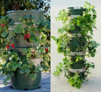 Вертикальные грядки не занимают много места и, если поставить конструкцию на колеса, позволяют ее перемещать Вертикальные грядки не занимают много места и, если поставить конструкцию на колеса, позволяют ее перемещать