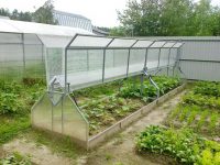 Конструкция парника позволяет располагать его на небольших участках Конструкция парника позволяет располагать его на небольших участках