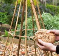 Парник конструкции Вигвам легко можно создать за короткий период времени, используя подручные средства - палки и полиэтилен Парник конструкции Вигвам легко можно создать за короткий период времени, используя подручные средства - палки и полиэтилен