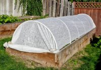 Укрывной материал можно не прикреплять к дугам, а использовать тяжелые камни или кирпичи для фиксации у основания парника Укрывной материал можно не прикреплять к дугам, а использовать тяжелые камни или кирпичи для фиксации у основания парника