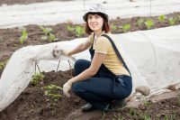 В теплое время года в качестве укрытия небольшого парника можно использовать нетканое полипропиленовое волокно - спанбонд, который хорошо пропускает свежий воздух, но в то же время позволяет контролировать микроклимат В теплое время года в качестве укрытия небольшого парника можно использовать нетканое полипропиленовое волокно - спанбонд, который хорошо пропускает свежий воздух, но в то же время позволяет контролировать микроклимат