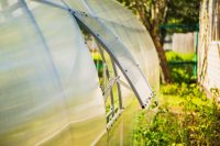 При правильно проведенных расчетах, в конструкцию парника можно включить не только форточки, но и полки для маленьких растений При правильно проведенных расчетах, в конструкцию парника можно включить не только форточки, но и полки для маленьких растений