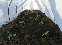 Каркас парника из металлических дуг Каркас парника из металлических дуг