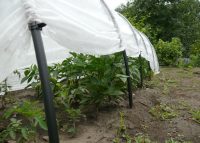 Простой разборной парник из дуг с укрывным материалом Простой разборной парник из дуг с укрывным материалом