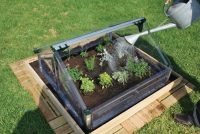 В парниках из поликарбоната с открывающимся верхом удобно выращивать небольшие растения, такие как ароматные травы, перцы или клубнику В парниках из поликарбоната с открывающимся верхом удобно выращивать небольшие растения, такие как ароматные травы, перцы или клубнику