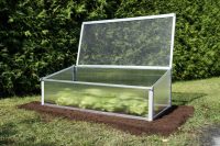 Поликарбонат - надежное и долговечное покрытие, отлично пропускающее солнечный свет, что благоприятно сказывается на росте и качестве культур Поликарбонат - надежное и долговечное покрытие, отлично пропускающее солнечный свет, что благоприятно сказывается на росте и качестве культур