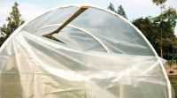 Полиэтиленовая пленка считается самым дешевым и популярным материалом для укрытия парников Полиэтиленовая пленка считается самым дешевым и популярным материалом для укрытия парников