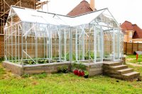 Место для парника не следует выбирать возле деревьев и затененных участков, чтобы обеспечить должное освещение для растений Место для парника не следует выбирать возле деревьев и затененных участков, чтобы обеспечить должное освещение для растений