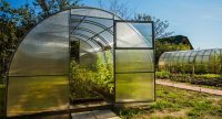 Парник из поликарбоната и стальных профилей - бюджетный и надежный вариант постройки для дачного участка Парник из поликарбоната и стальных профилей - бюджетный и надежный вариант постройки для дачного участка