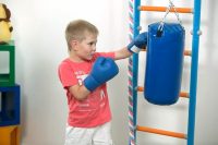 Груша является одним из любимых тренажеров у мальчиков, приобрести который можно отдельно при достижении определенного возраста ребенка Груша является одним из любимых тренажеров у мальчиков, приобрести который можно отдельно при достижении определенного возраста ребенка