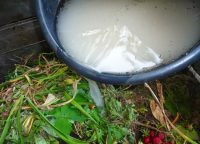 Для того чтобы получить компост быстро, необходимо использовать специальные добавки Для того чтобы получить компост быстро, необходимо использовать специальные добавки