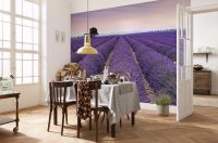 Фотообои украсят любой интерьер кухни Фотообои украсят любой интерьер кухни