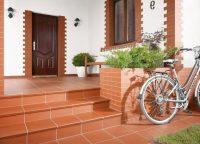 Благодаря широкому ассортименту размерного ряда, клинкером можно оформить не только фасад здания, но и ступени Благодаря широкому ассортименту размерного ряда, клинкером можно оформить не только фасад здания, но и ступени