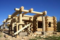 Балки для потолочных перекрытий монтируются способом «в полдерева без остатка» Балки для потолочных перекрытий монтируются способом «в полдерева без остатка»