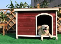 При покраске будки для собаки, необходимо использовать только безопасные средства без резкого запаха При покраске будки для собаки, необходимо использовать только безопасные средства без резкого запаха