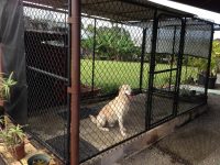 Для строительства вольера для собак крупных пород необходимо выбирать надежные крепкие материалы Для строительства вольера для собак крупных пород необходимо выбирать надежные крепкие материалы