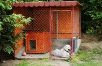 Собаку нельзя все время содержать в небольшом вольере, поэтому необходимо до начала строительства определится с назначением постройки Собаку нельзя все время содержать в небольшом вольере, поэтому необходимо до начала строительства определится с назначением постройки