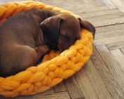 Важным элементом при обустройстве вольера для собаки является мягкий и удобный лежак Важным элементом при обустройстве вольера для собаки является мягкий и удобный лежак