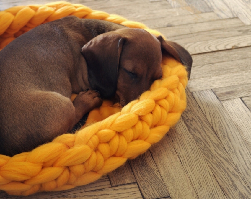 Важным элементом при обустройстве вольера для собаки является мягкий и удобный лежак