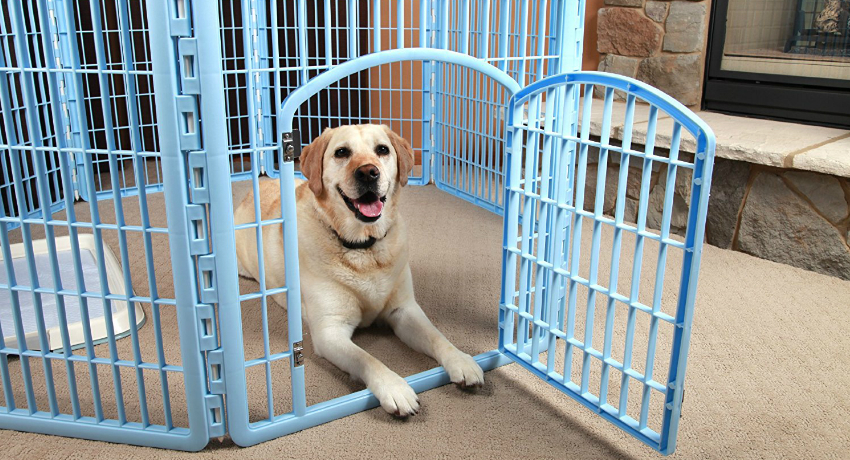 Для больших пород собак лучше приобрести вольер с крышей и отрывающейся дверцей